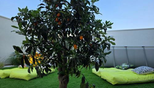 M4REE Seaside Suites & Relax - Foto 4, Garden, Garden view