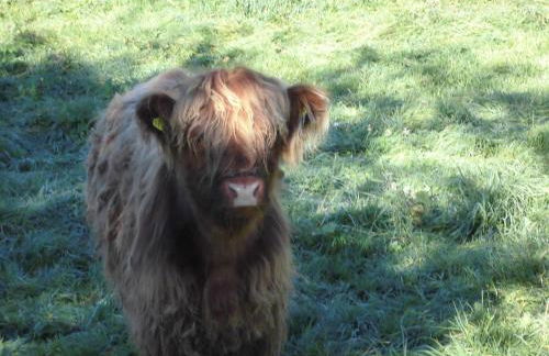 Ferienhaus Lang - Foto 41