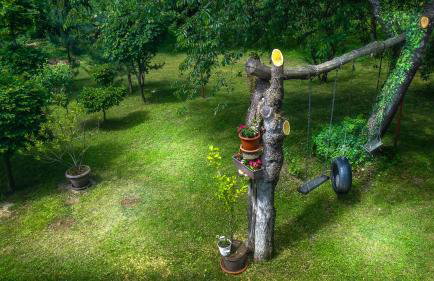 Apartment Franciska - Foto 17