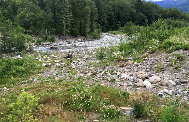 16GS - Hot Tub - BBQ - Pets Ok - Sleeps 2 - Foto 70