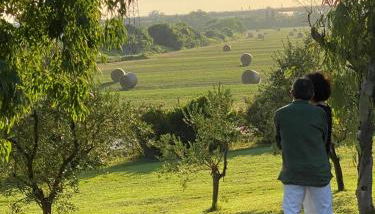 Il Podere di Remo - Foto 3