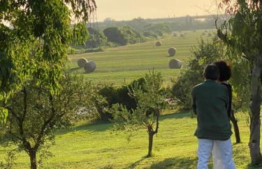 Il Podere di Remo - Foto 3