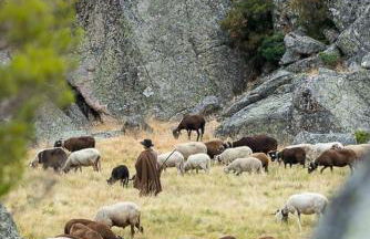 Senhora da Estrela AL - Foto 45