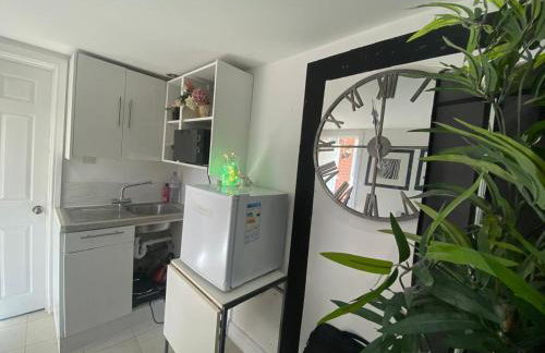 1 Bedroom studio - Photo 19