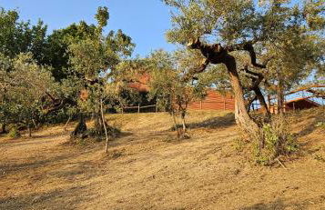 Villa Colli - Foto 44