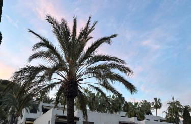 Casa Palma - Photo 15