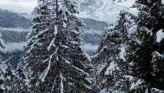 Chalet Yvonne - Foto 4