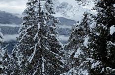 Chalet Yvonne - Photo 4