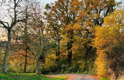 Ferienhaus Schott Prichsenstadt - Foto 47