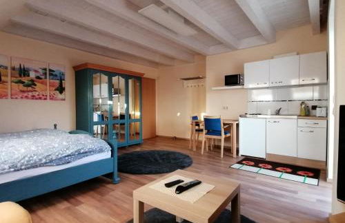 Großzügiges Wohnstudio mit Balkon und Badbenutzung - Foto 1