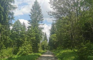 Berghaus am Felsbruch Oberwiesenthal OT Hammerunterwiesenthal - Foto 27