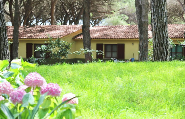 Residence with swimming-pool in Arborea - Foto 13