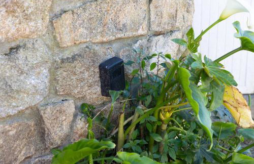 Apartamento Saiáns - Foto 57