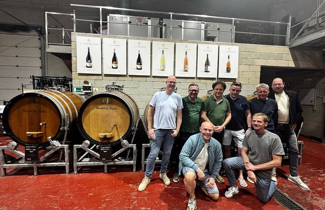 Alicante; Recorrido Vinícola Bodega Cata Vinos, Comida y Traslado - Foto 3