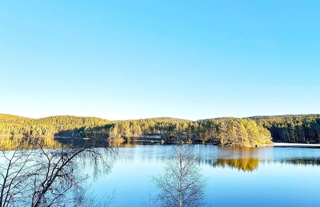 6 Person Holiday Home in Hornnes-by Traum - Foto 20