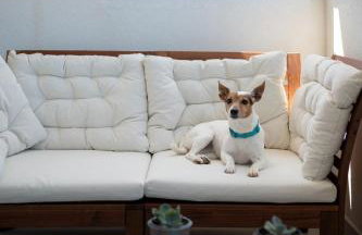 Vitamin Sea - Foto 1