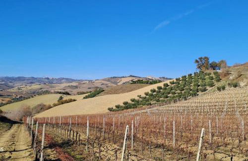 Sweet Home Offida - Foto 19