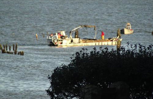 Ty Gwenn, dans un parc boisé, la plage à vos pieds - Foto 30