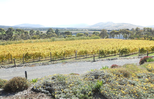 Riversdale Estate Cottages - Foto 30