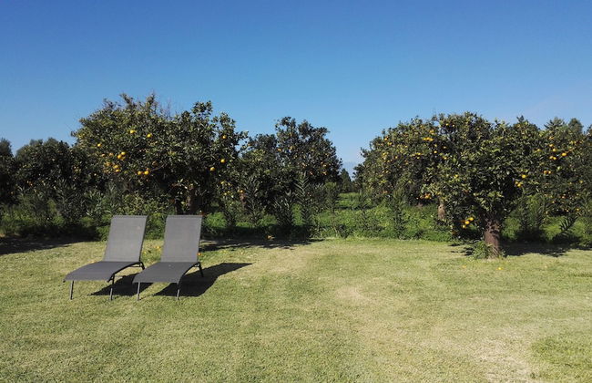 Tenuta San Calogero - Foto 56