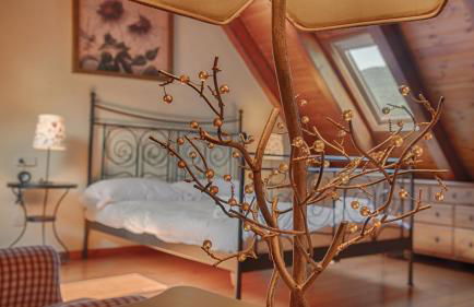 Saplan Real Estate ERA LANA - Photo 15