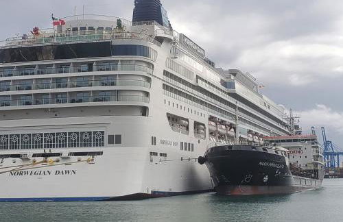 Santa Catalina Queen - Foto 26