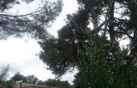 Villa Chabola - Foto 6