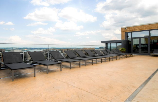 Bluebird Suites in Pentagon City - Photo 30