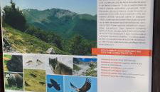 A casa di Olly - Foto 3