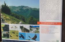 A casa di Olly - Foto 3