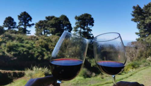 Casa Julián - Foto 3