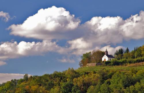 Ferienwohnung am Gipsberg - Photo 23