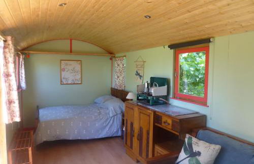 Rosa the Cosy Cabin - Gypsy Wagon - Shepherds Hut, RIVER VIEWS Off-grid eco living - Foto 29