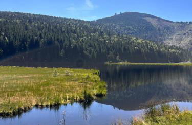 Lindners Hideaways - Gutshof Pine Retreat - Sauna - In Villa - Terrasse - Garten mit Rehgehege - Frühstück verfügbar - SKI - Arber - Osser - bis 5 Pers - Photo 33