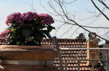 Residence Montefiore - Foto 43