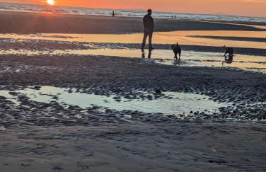 Peacehaven, Ynyslas, Borth - Photo 43