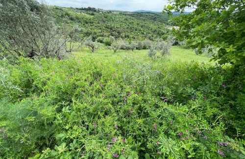 Podere Buriano, Villa with Swimmingpool - Foto 3