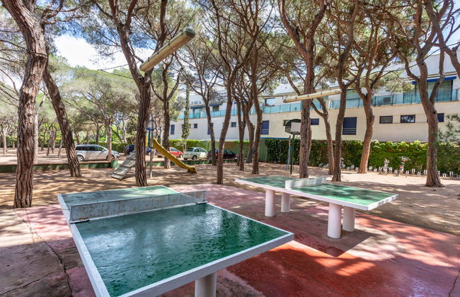 Cavall Bernat - Foto 15