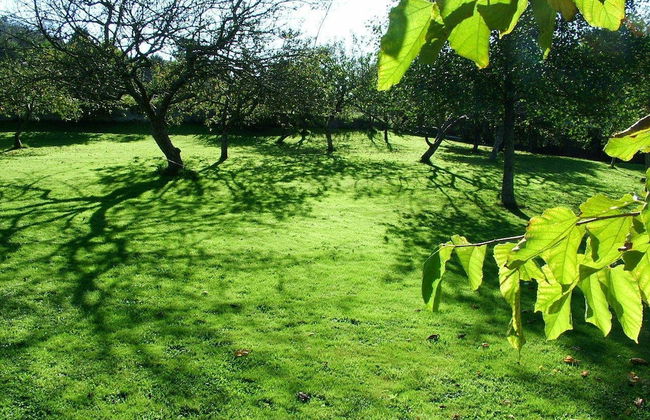 La Llosa Rodré - Foto 18