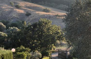 Il Castello degli Ulivi - Agriturismo in Natura - Foto 12