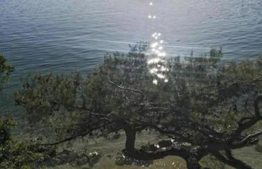 Luxury Apartments Blue Moon - New Apartments - Foto 41