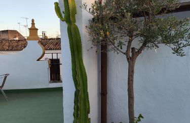 Casa PALIANI - Photo 65