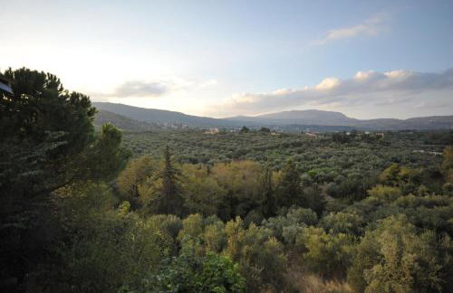 The Architect's House in Neo Chorio - Foto 34