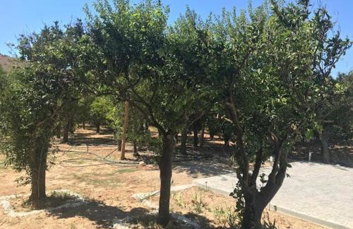 Serenity in the unique nature of Kampos, Chios - Foto 14