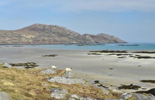 Beachcombers - Foto 29