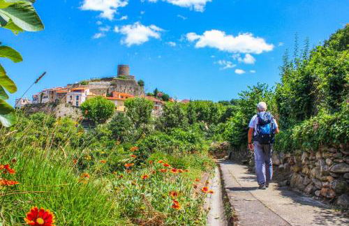 Les orangers - Villa catalane avec Jacuzzi - Photo 28