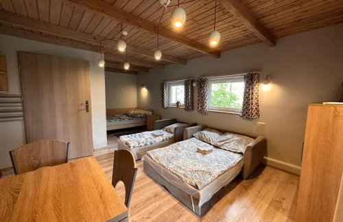 Farma Albert Korzenie - Foto 38