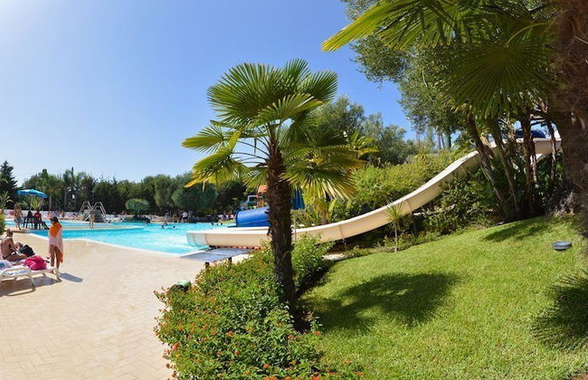 Blue Marine - Photo 18