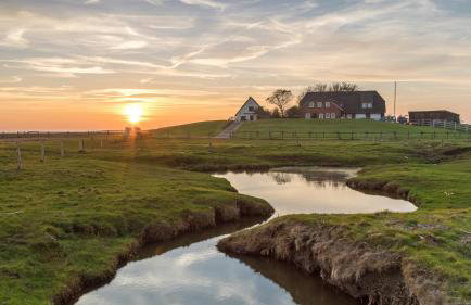 Gästehaus Neuwarft - Foto 30
