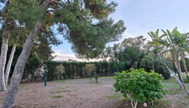 Beautiful home with spacious land in San Vicente - Photo 5, Garden